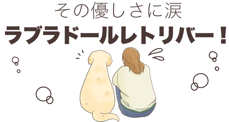 優しいラブラドールレトリバー！